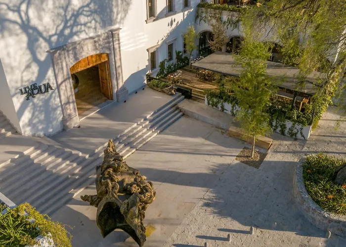 Live Aqua San Miguel De Allende (Adults Only)